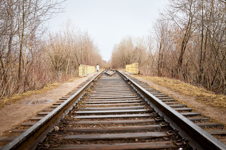 Railway among bare and bald trees on autumn or spring dayの写真素材