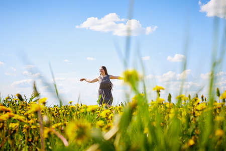 Beautiful young woman on a field with green grass and yellow dandelion flowers in a sunny day. Girl on nature with yellow flowers and blue skyの写真素材