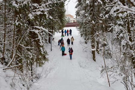 Kirov, Russia - February 01, 2020: Beautiful snow-covered forest with trees and people walking in cold dayのeditorial素材