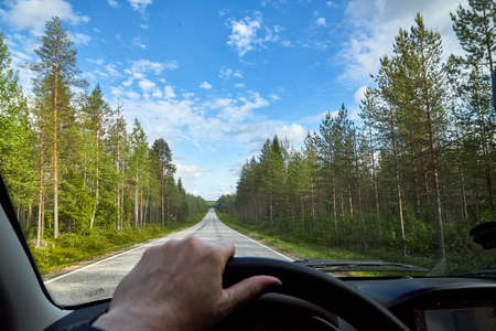 Car salon, steering wheel, hand of woman and view on nature landscape. Road, forest, blue sky, white clouds at sunny day. Concept of single trip of female traveler and driver during coronavirus covidの写真素材