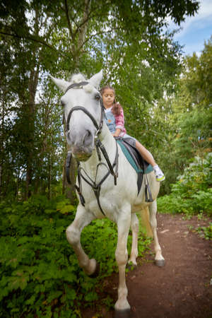 Teenage girl and a horse in nature among green treesの写真素材