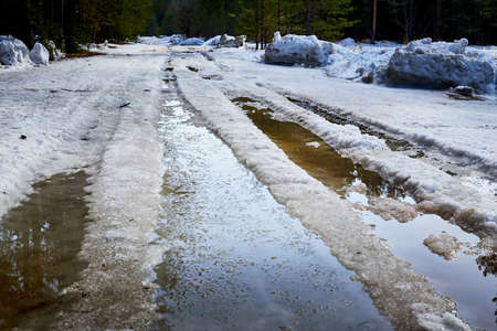 Dirty road in the snow in the middle of spruce and pine forests in day of early spring