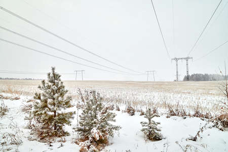 Electrical tower in wintertime with snow covered fieldの写真素材