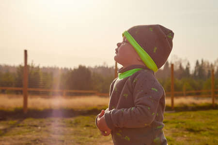 A small child in autumn yellow field near farm and sun arround during sunset. Beautiful boy on nature landscape in sunny dayの写真素材