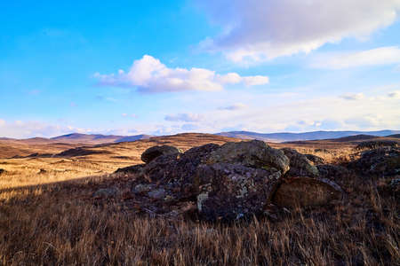 Nature landscape with golden glass, yellow hills and blue sky with white clouds on background in a nice day or eveningの写真素材