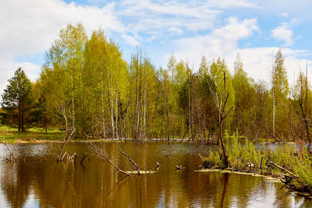Water of a river or lake during flood on an early spring dayの写真素材
