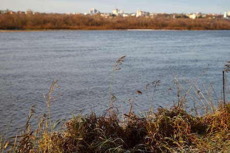 View of the lake water and yellow grass on shore on an autumn day