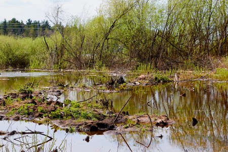 Water of a river or lake during flood on an early spring dayの写真素材