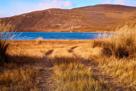 Nature landscape with golden field, wather, hills and blue sky with white clouds in a day or evening