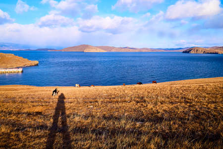 Beautiful natural view of the landscape with the shore with yellow grass, lake, and blue sky with...