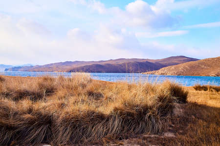 Nature landscape with golden field, wather, hills and blue sky with white clouds in a day or evening