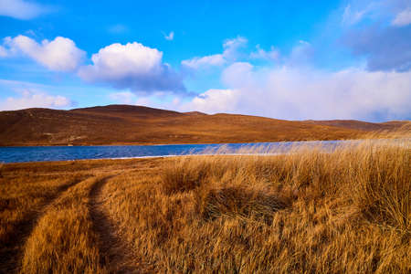 Nature landscape with golden field, wather, hills and blue sky with white clouds in a day or evening