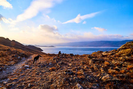 Nature landscape with golden field, wather, hills and blue sky with white clouds in a day or eveningの写真素材