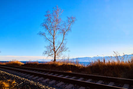 Circum Baikal railway running along the shore of Lake Baikal on an autumn sunny day with a yellow landscape aroundの写真素材