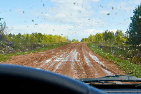 POV inside car windshield view point. View on dirty country road in nature landscape. Concept of travel during rain in summer or autumn day or eveningの写真素材
