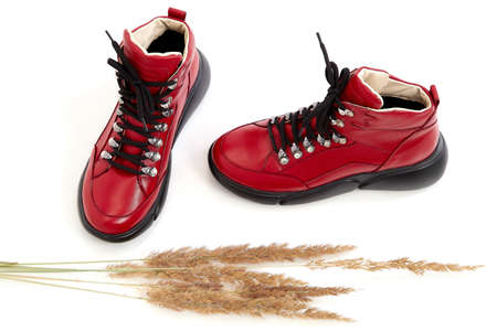 Red women sneakers in the studio on white background. Fashion shooting for catalog or store indoors