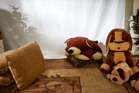 Room with carpet, large pillows and toys. background in studio for photographyの写真素材