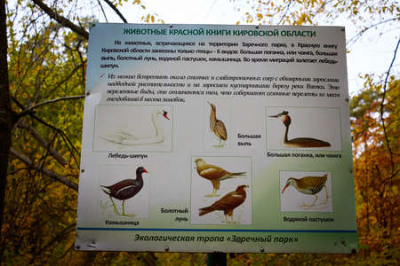 Kirov, Russia - September 20, 2021: Poster in the park with drawings of wild birds and their names. Information plate about the wildlife of the park and the forest for visitorsのeditorial素材