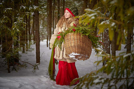 Little girl in old peasant clothes including a fur coat and a shawl in a cold winter forest with fir trees, pines and snow on a winter day. A baby with a basket full of green branches and red berriesの写真素材