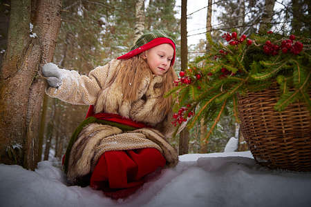 Little girl in old peasant clothes including a fur coat and a shawl in a cold winter forest with fir trees, pines and snow on a winter day. A baby with a basket full of green branches and red berriesの写真素材