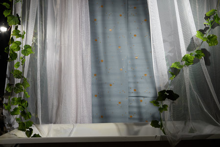Bath, curtain and flower as background for shooting. Room in studio for photography shoot
