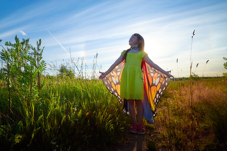 Beautiful little girl in yellow dress and in colorful bright butterfly wings in the field with green grass, yellow flowers and blue sky in a sunny summer or spring dayの写真素材