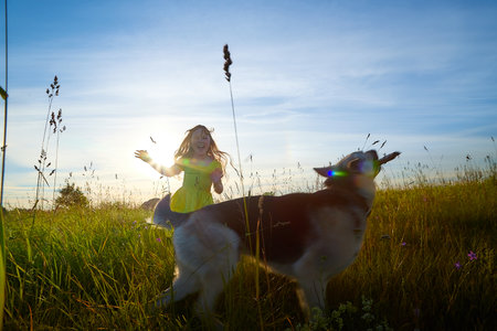 Beautiful little girl in yellow dress with big dog shephers in the field with green grass and blue sky in a sunny summer or spring day or eveningの写真素材