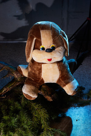 Toy furry big brown dog in a dark room with flowers illuminated like moonlight. A photo of a soft toy as a mysterious gift to a childの写真素材