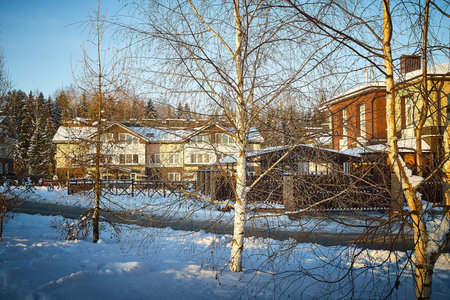 Modern village house in winter day and trees near it in snow in sunny cold day
