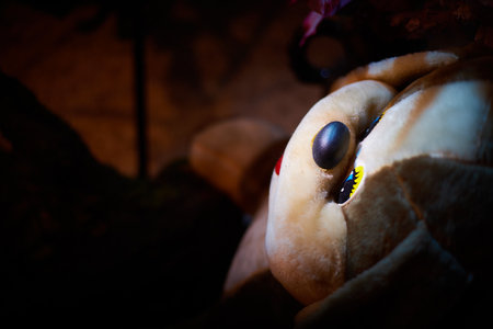 Toy furry big brown dog in a dark room with flowers illuminated like moonlight. A photo of a soft toy as a mysterious gift to a childの写真素材