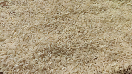 White cereal rice background and texture. Product and food stored for a long time. Partial focusの写真素材