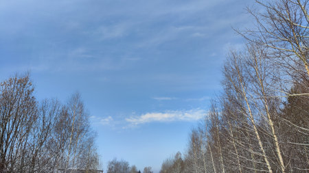Spring blue sky with white clouds and trees with bare branches and buds before the growth of green leavesの写真素材