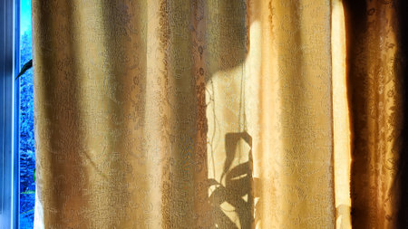 Yellow curtain on the window with the sun and the shadow of a home flower plant on the windowsill. Abstract natural background and texture with frameの写真素材