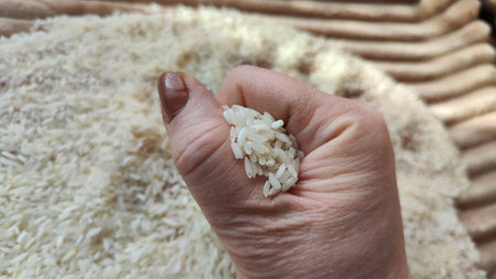 White cereals rice and hand of woman in it. Food for background and texture. Product and food which can be stored for a long time. Partial focusの写真素材