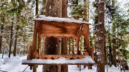 Close-up of a bird feeder on tree under the snow in the forestの写真素材