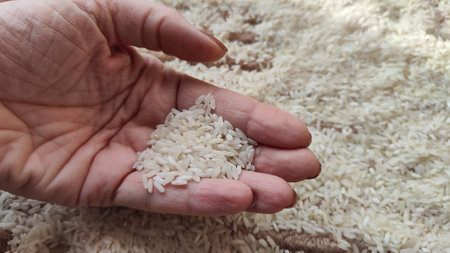 White cereals rice and hand of woman in it. Food for background and texture. Product and food which can be stored for a long time. Partial focusの写真素材