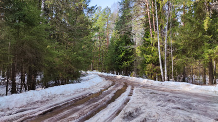Road with mud wet snow in the forest in winter, spring or autumn. Rural rustic landscape. Wet dirty road in early spring in woodの写真素材