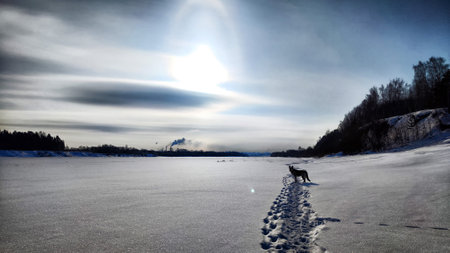 View of winter landscape with snowy fields, path or road and blue sky in sunny cold day. Freezing lake or river under snow and iceの写真素材