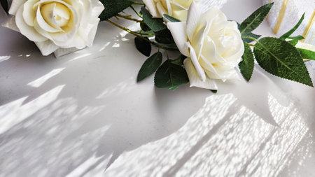 Background and texture with beautiful white roses on place with light and shadow of sun. Abstract cart with frame framed with roses, copy space and place for text. Concept of beauty, gifts, holidayの写真素材