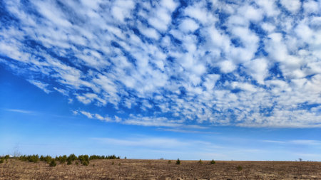Beautiful blue sky with white clouds on a sunny autumn or spring day over field with dry grass. Natural background and copy space. Landscape in early spring or autumnの写真素材