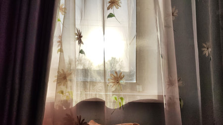 Transparent tulle curtains with floral pattern on the window and light behind the glass. Abstract background, texture and copy spaceの写真素材
