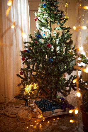 Interior with decorated cristmas tree in cozy room. Location for a photo shoot in studioの写真素材