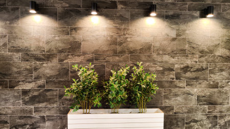 Minimalist botanical background with copy space and nice light. location for photo shoot. Natural...