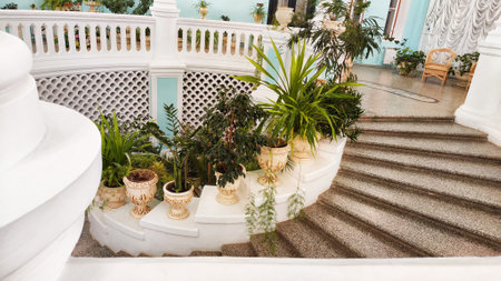 Beautiful tropical plants growing on the round steps in a large greenhouse in winter garden. Staircase with columns and green homemade flowers in potsの写真素材