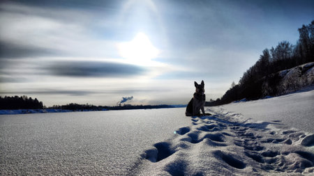 View of winter landscape with snowy fields, path or road and blue sky in sunny cold day. Freezing lake or river under snow and iceの写真素材