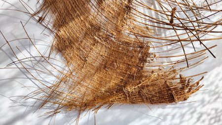 Brown dry palm tree trunk from jungle with interesting texture, background, details. Abstract background, frame, copy spaceの写真素材