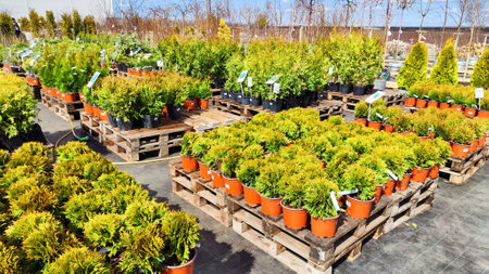 Kirov, Russia - April 23, 2023: Garden centre, plant nursery. Shopping center for the sale of flowers for garden in early spring or summer dayのeditorial素材