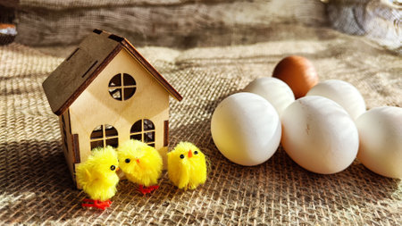 Toy wooden house and small chickens next to real eggs. Concept of your own house in nature, village life, natural products and food. Easter holiday, kindness, tenderness. Incubator for poultry chickの写真素材