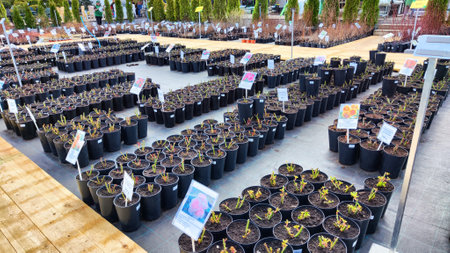 Kirov, Russia - April 23, 2023: Garden centre, plant nursery. Shopping center for the sale of flowers for garden in early spring or summer dayのeditorial素材