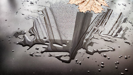 Yellow dry maple leaf in water or a puddle with drops and reflection on a black background. The concept of sad autumn day and the withering of nature. Abstract background and texture. Partial focusの写真素材